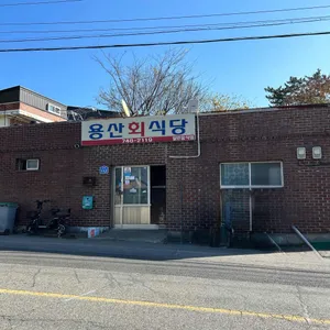 용산 회 식당 리뷰 사진