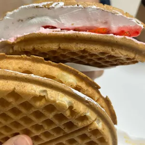 와플대학 사진 2