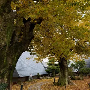 유지 커피웍스 리뷰 사진