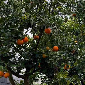 유지 커피웍스 리뷰 사진