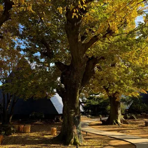 유지 커피웍스 리뷰 사진