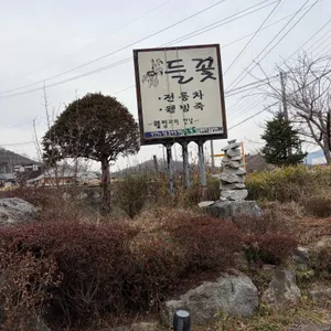 들꽃 리뷰 사진