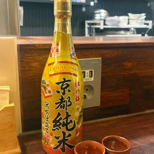 제미나이 지안 리뷰 사진