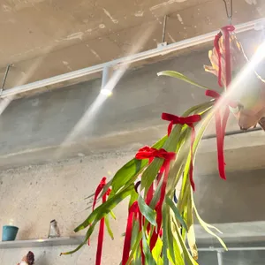 501하이드아웃 리뷰 사진