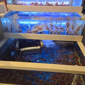 동해밤바다 리뷰 사진