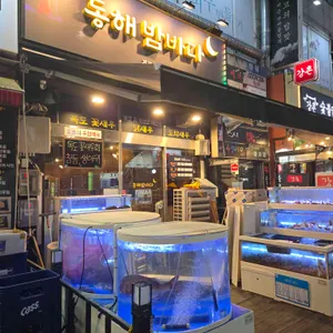 동해밤바다 리뷰 사진