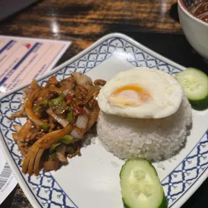 콘타이수끼 사진