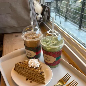 카페 오성제 리뷰 사진