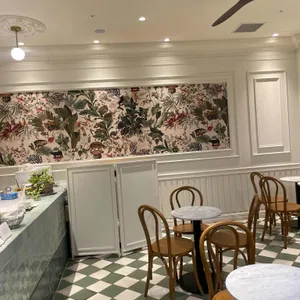 젤라떼리아 도도 대표 사진