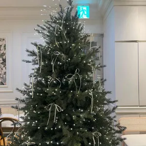 젤라떼리아 도도 대표 사진