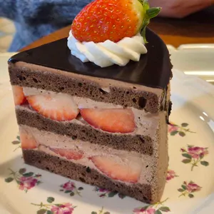 카페 팃빗 리뷰 사진