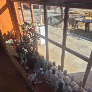 소제솔루나 리뷰 사진