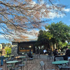 커피템플 대표 사진