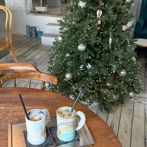 올더스캣 리뷰 사진