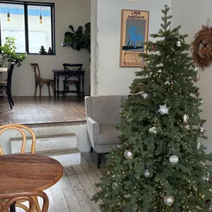 올더스캣 리뷰 사진