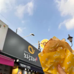 노랑고래 사진 2