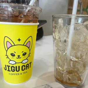 지구캣 대표 사진