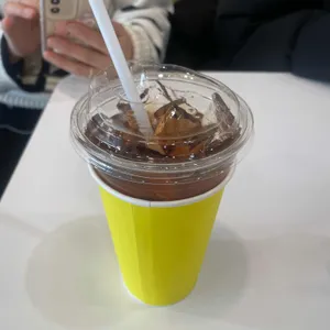 지구캣 대표 사진