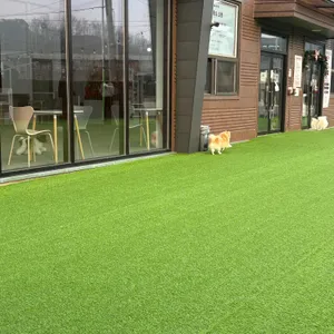 댕글라이프 리뷰 사진