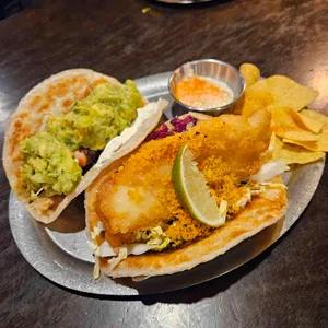 멕시타이거 사진