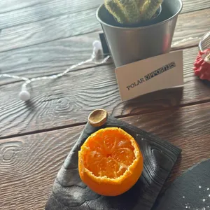 폴러 오퍼지츠 리뷰 사진