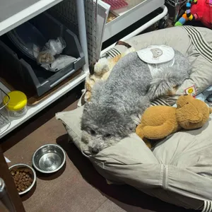 빈집 대표 사진