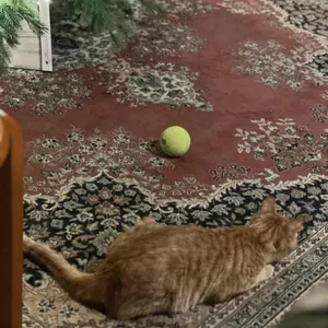 길로이카페 리뷰 사진