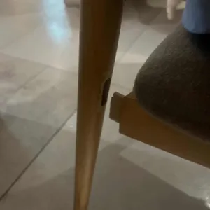 등촌샤브칼국수 리뷰 사진