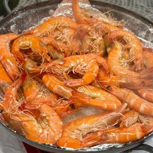 힘찬새우 사진 1