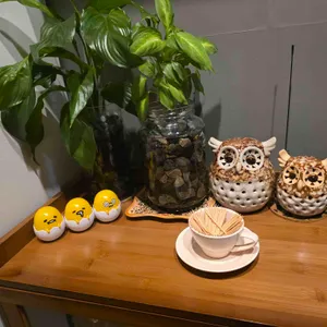 한도마 대표 사진