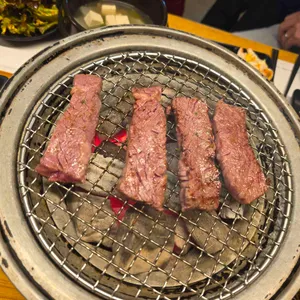 한도마 사진
