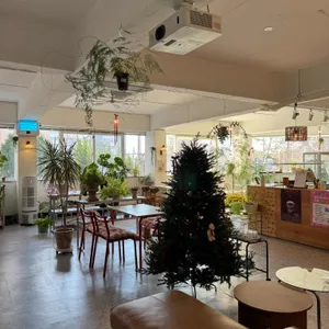 라미과자점 리뷰 사진