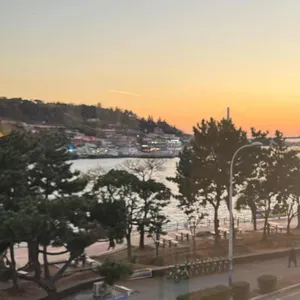 하이마레 리뷰 사진