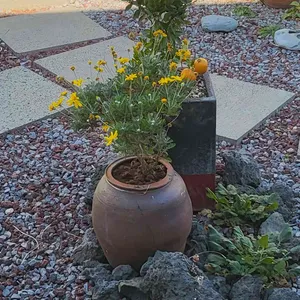 이더리 리뷰 사진