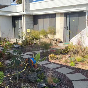 이더리 리뷰 사진