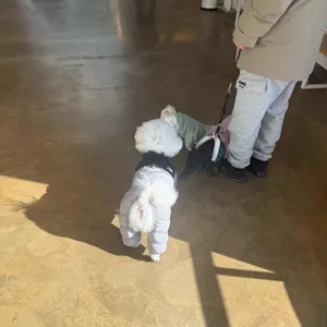 멜팅 리뷰 사진