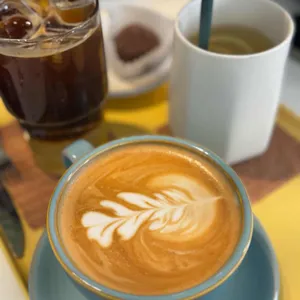 아프리쿠스 리뷰 사진