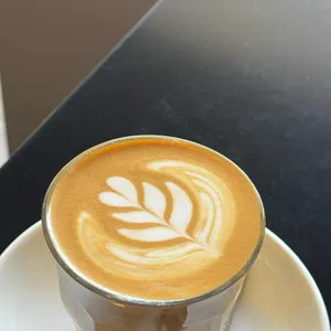 패스 로스터스 사진