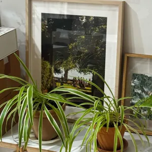 스몰캐빈커피 대표 사진