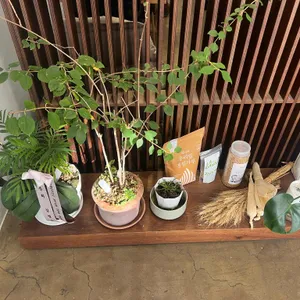 서교난면방 리뷰 사진