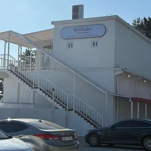 몰베이크 리뷰 사진