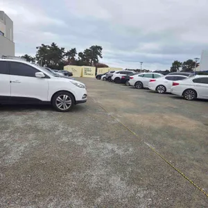 도우트리 리뷰 사진