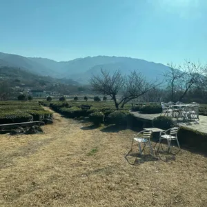 매암차 박물관 리뷰 사진