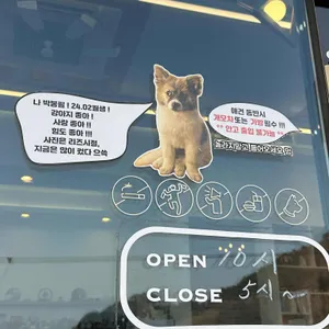 지금 여기 리뷰 사진