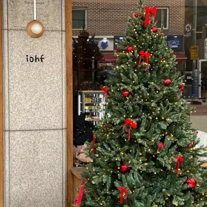 이오프 리뷰 사진