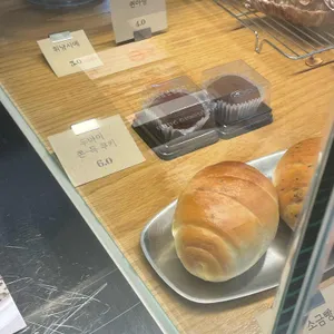 썬마이야르 리뷰 사진