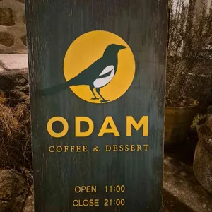 오담 리뷰 사진