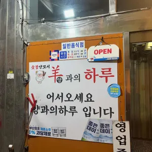 양과의하루 리뷰 사진