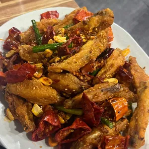 양과의하루 사진