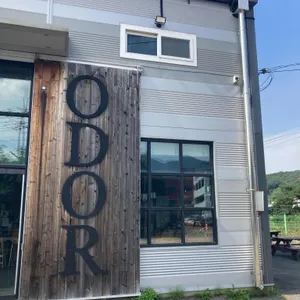 오도르 리뷰 사진